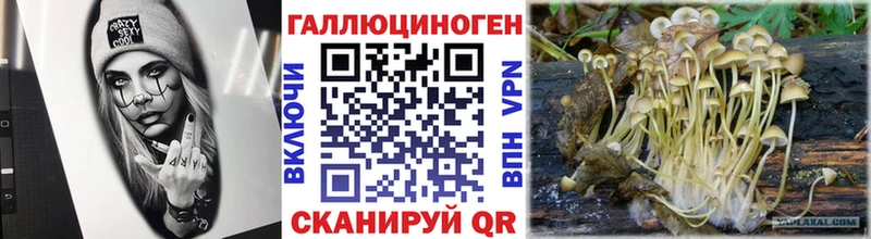 купить наркотик  маркетплейс формула  Галлюциногенные грибы MAGIC MUSHROOMS  Сертолово 